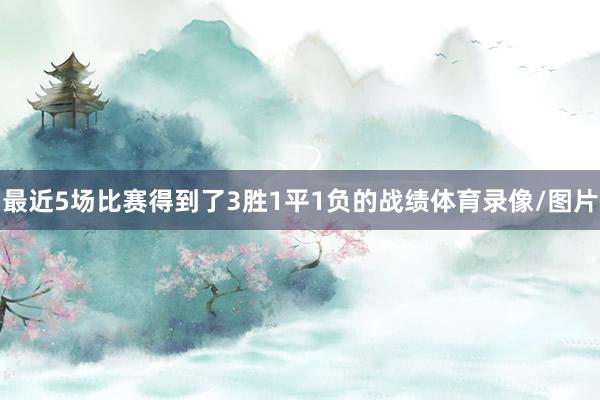 最近5场比赛得到了3胜1平1负的战绩体育录像/图片
