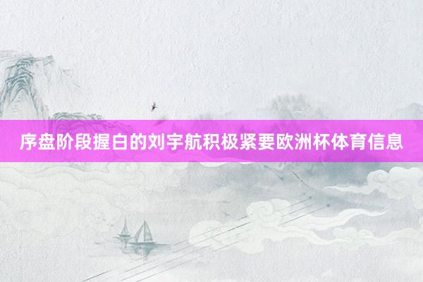 序盘阶段握白的刘宇航积极紧要欧洲杯体育信息