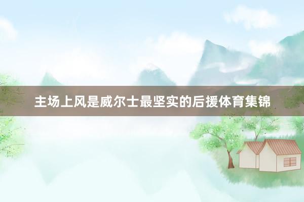 主场上风是威尔士最坚实的后援体育集锦