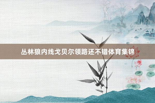 丛林狼内线戈贝尔领路还不错体育集锦