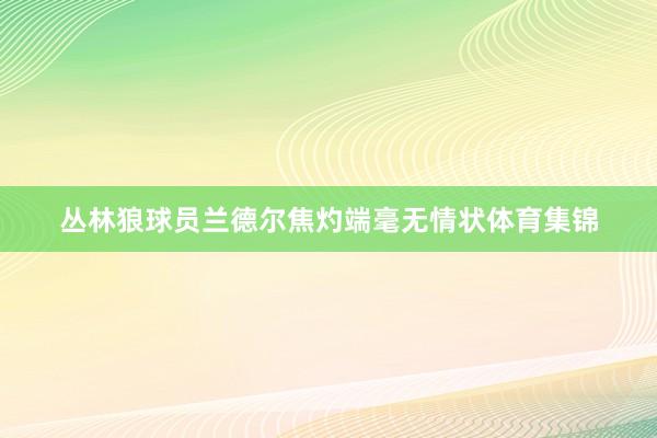 丛林狼球员兰德尔焦灼端毫无情状体育集锦
