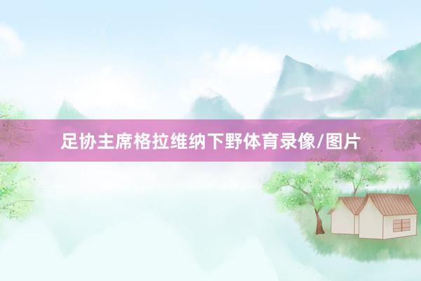足协主席格拉维纳下野体育录像/图片