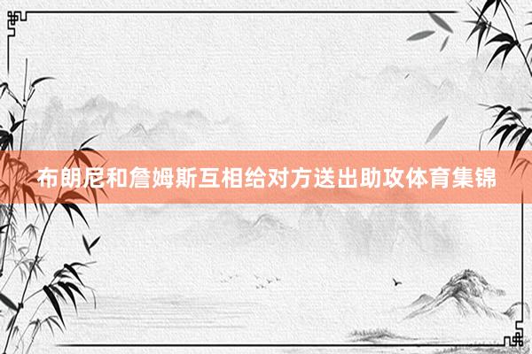 布朗尼和詹姆斯互相给对方送出助攻体育集锦
