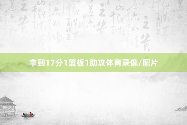 拿到17分1篮板1助攻体育录像/图片