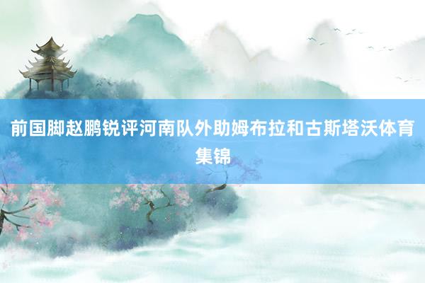 前国脚赵鹏锐评河南队外助姆布拉和古斯塔沃体育集锦