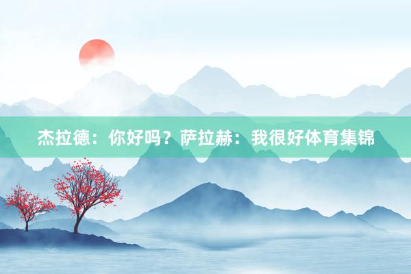杰拉德：你好吗？萨拉赫：我很好体育集锦
