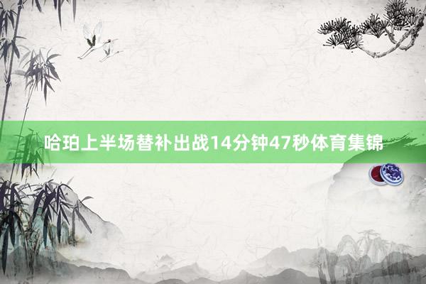 哈珀上半场替补出战14分钟47秒体育集锦