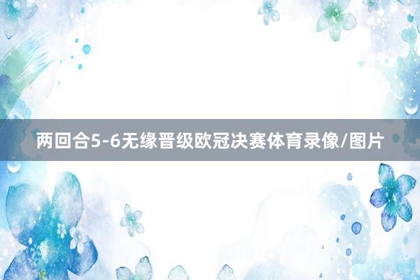 两回合5-6无缘晋级欧冠决赛体育录像/图片