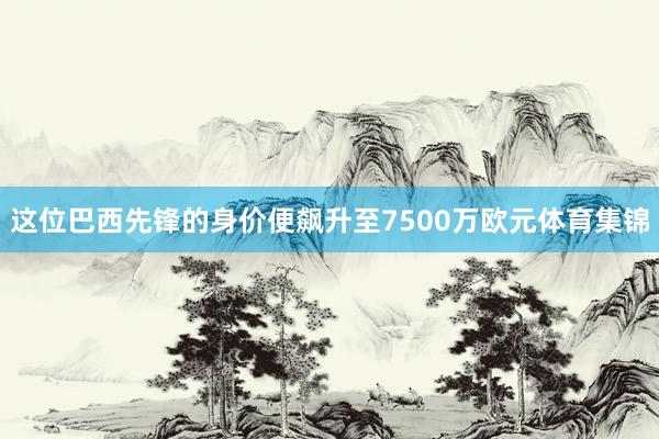 这位巴西先锋的身价便飙升至7500万欧元体育集锦
