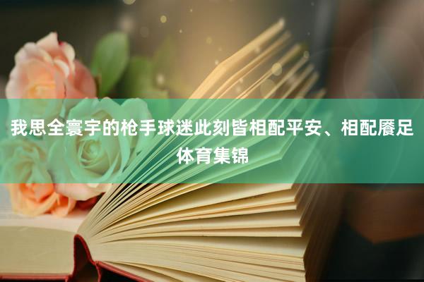 我思全寰宇的枪手球迷此刻皆相配平安、相配餍足体育集锦