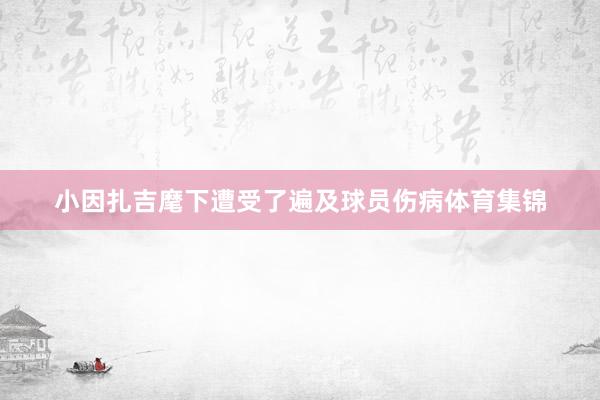 小因扎吉麾下遭受了遍及球员伤病体育集锦