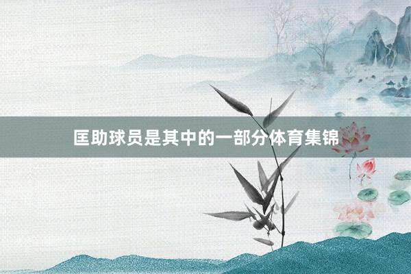 匡助球员是其中的一部分体育集锦