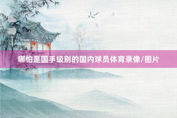 哪怕是国手级别的国内球员体育录像/图片