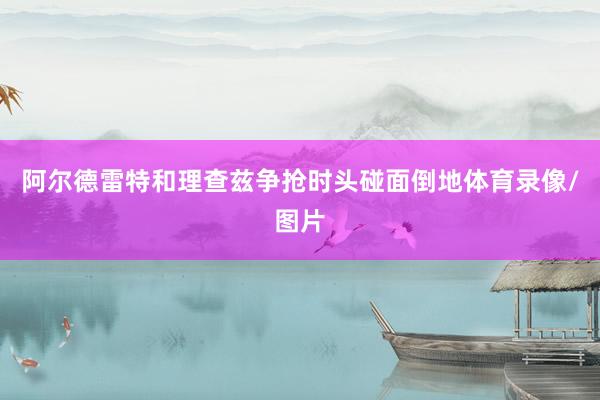 阿尔德雷特和理查兹争抢时头碰面倒地体育录像/图片