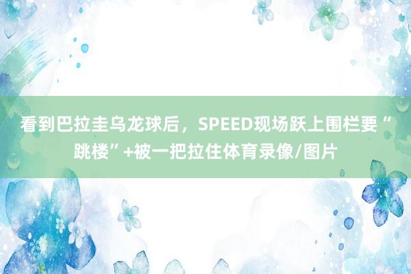 看到巴拉圭乌龙球后，SPEED现场跃上围栏要“跳楼”+被一把拉住体育录像/图片