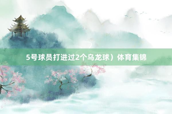 5号球员打进过2个乌龙球）体育集锦