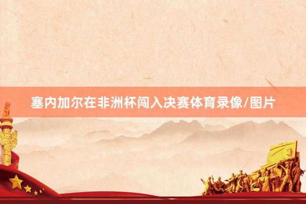 塞内加尔在非洲杯闯入决赛体育录像/图片